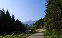 010_p20_IMG_20250616_080031