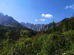 030_p20_IMG_20250616_090704