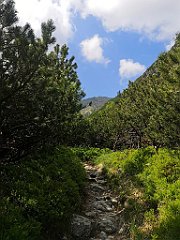 048_p20_IMG_20250616_101624