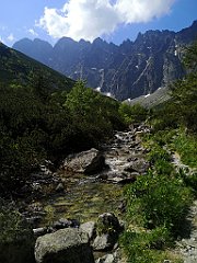 050_p20_IMG_20250616_101828