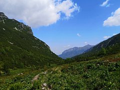 060_p20_IMG_20250616_103647