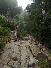 010_p20_IMG_20250617_101949