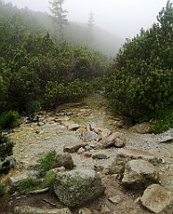 011_p20_IMG_20250617_102652