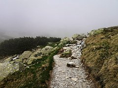 051_p20_IMG_20250617_121227