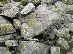 165_p20_IMG_20250617_153114