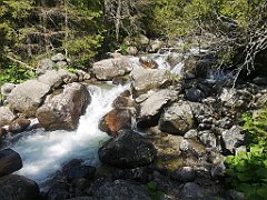 019_p20_IMG_20250618_102642