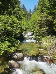 022_p20_IMG_20250618_105005