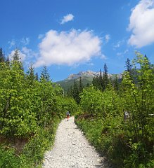 027_p20_IMG_20250618_111806