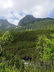 041_p20_IMG_20250618_123631