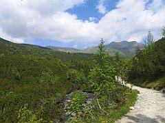 049_p20_IMG_20250618_123850