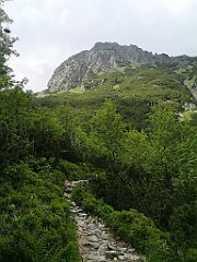 090_p20_IMG_20250618_140121