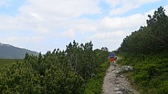 099_p20_IMG_20250618_144125