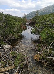 103_p20_IMG_20250618_144846