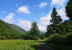 024_p20_IMG_20250619_094850