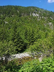 028_p20_IMG_20250619_101622