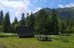 039_p20_IMG_20250619_104012