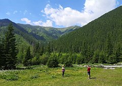 041_p20_IMG_20250619_104037