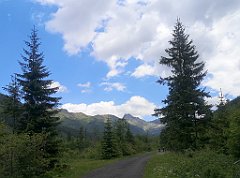 086_p20_IMG_20250619_124629