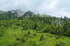 101_p20_IMG_20250619_130355