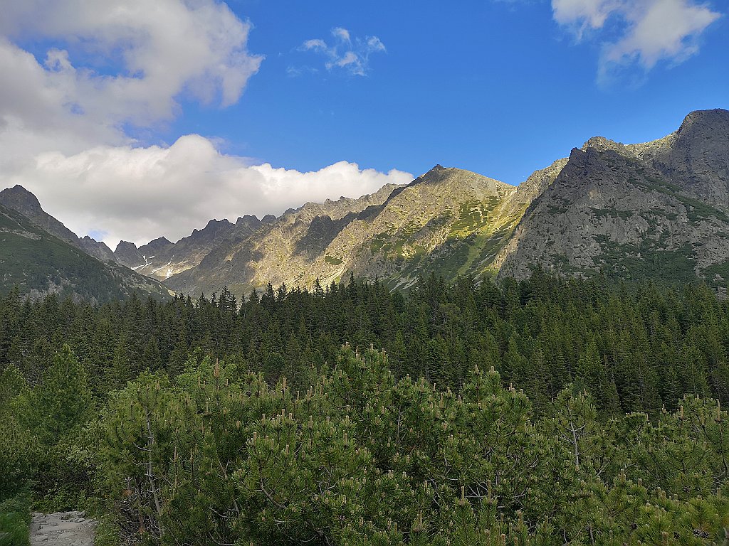 155_p20_IMG_20250620_171851.jpg - jhdr