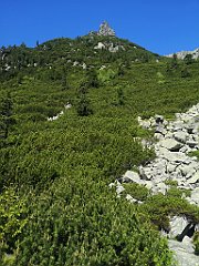 032_p20_IMG_20250620_100054