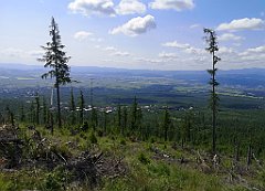 015_p20_IMG_20250621_102001