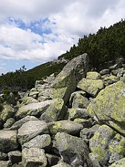 020_p20_IMG_20250621_111714