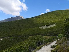 040_p20_IMG_20250621_114615