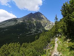 052_p20_IMG_20250621_120333