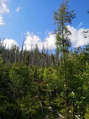 152_p20_IMG_20250621_165150