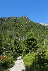 046_p20_IMG_20250622_094953