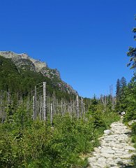 070_p20_IMG_20250622_101308