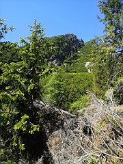 090_p20_IMG_20250622_111231