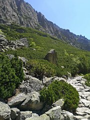 105_p20_IMG_20250622_113200