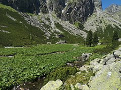 115_p20_IMG_20250622_114001