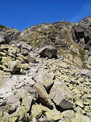 184_p20_IMG_20250622_125859