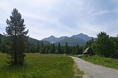 020_p20_IMG_20250623_104300