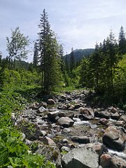 033_p20_IMG_20250623_114252