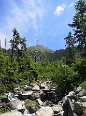 035_p20_IMG_20250623_114853