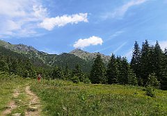 047_p20_IMG_20250623_123859