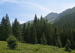 049_p20_IMG_20250623_124032