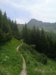 077_p20_IMG_20250623_133141