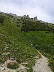 085_p20_IMG_20250623_134147