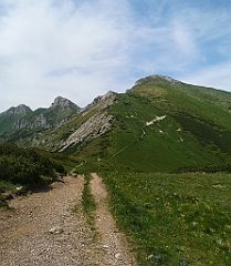 118_p20_IMG_20250623_141532