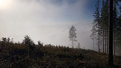 x14_IMG_20251008_084543