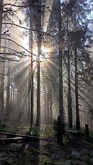 x14_IMG_20251008_085800