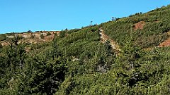 x14_IMG_20251008_101516