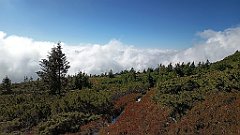 x14_IMG_20251008_101928