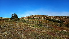 x14_IMG_20251008_104040