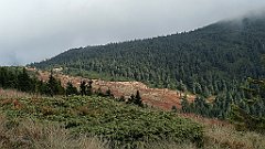 x14_IMG_20251008_141748